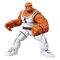 Future Foundation Marvel Legends Action Figure 2-Pack The Thing & Invisible Woman 15 cm