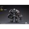 Warhammer 40k Action Figure 1/18 Grey Knights Terminator Caddon Vibova 13 cm