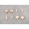 Megalomaria Unlimited Universe Model Kit Accesoory Set Metamorphose Unit Exarmor White Eagle