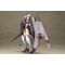 Frame Arms Girl Plastic Model Kit Izumo Destroyer Ver. 17 cm