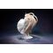 Chobits PVC Statue 1/6 Chi 23 cm