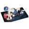 Original Character PVC Figure 1/6 Haru Ichinose x Azuma Tokaku 18 cm