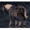 Elden Ring Figma Action Figure Torrent, the Spectral Steed 18 cm