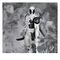 Marvel Collection PVC Statue 1/10 Deadpool (The New Mutants #98) (Line Art) (Gold Label) 17 cm