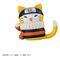 Naruto Mega Cat Project Minifigures 3 cm Nyaruto! Cats of Konoha Village Reboot Blind Box Display (8) (Repeat)