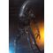 Alien 1/4 Action Figure Big Chap 56 cm