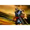 Teenage Mutant Ninja Turtles (Mirage Comics) Action Figure Chote 18 cm