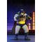 DC Comics Action Figures Series 2 15 cm Assortment (12)