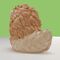 Wicked Tubbz PVC Figure Cowardly Lion Boxed Edition 10 cm