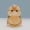 Avatar: The Last Airbender Tubbz PVC Figure Turtle Duck Boxed Edition 10 cm