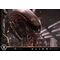 Alien Museum Masterline XL Statue 1/3 Big Chap Xenomorph Regular Ver. Bonus Version 100 cm