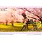 Shikimor's Not Just a Cutie Prisma Wing PVC Statue 1/7 Shikimori san 22 cm