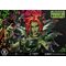 DC Comics Throne Legacy Collection Statue 1/4 Batman Poison Ivy Seduction Throne Deluxe Bonus Version 55 cm