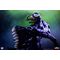 Marvel Gamerverse Classics PVC Statue 1/10 Venom 20 cm