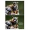 Teenage Mutant Ninja Turtles Legends Statue 1/3 Rocksteady 69 cm