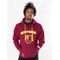 Harry Potter Hooded Sweater Gryffindor Deluxe