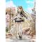 Girls' Frontline PVC Figure 1/7 Desert Eagle 23 cm