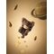 Planet Cat Wishing Star Series Mini Figures Blind Box Display 11 cm (6)