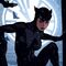 DC Comics Art Print Catwoman 41 x 61 cm - unframed