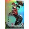 DC Comics Fine Art Print Harley Quinn (Exclusive Edition) 41 x 61 cm - unframed