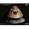 Apollo 11 Replica 1/20 Command Module (DX) 20 cm