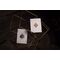 Theory 11 Playing Cards National