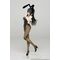Rascal Does Not Dream Series Coreful PVC Figure Mai Sakurajima (Bunny Ver.) 20 cm