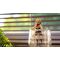 My Hero Academia Collekazaro Action Figure CK-M10 Himiko Toga 10 cm