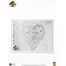 Jurassic Park Topographic Map Isla Nublar