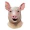 Spiral Mask Pig