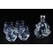 Fallout Decanter 5 Piece Set  T-51