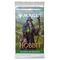 Magic the Gathering Lo Hobbit Play Booster Display (30) italian