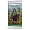 Magic the Gathering El Hobbit Play Booster Display (30) spanish