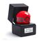 Pokémon Diecast Replica Cherish Ball
