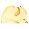 Avatar: The Last Airbender Nightlight Appa Night Light 8 cm