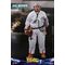 BACK TO THE FUTURE - Doc Brown - Statue 30cm