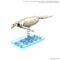 PLANNOSAURUS - Hydrodamalis Gigas - Model Kit