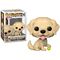 PETS - POP Pets N° 15 - Golden Retriever