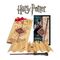 HARRY POTTER - Harry's wand & Marauder's map