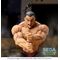 BAKI DOU - Kaioh Retsu - Figure Luminasta 15cm