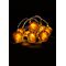 HARRY POTTER - Gryffindor - String Lights 2.5M