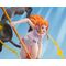 ONE PIECE - Nami "Extra Battle" - Statue FiguartsZERO 17cm