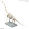 PLANNOSAURUS - Brachiosaurus - Model Kit