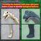 PLANNOSAURUS - Brachiosaurus - Model Kit