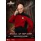 STAR TREK GENERATIONS - Jen-Luc Picard - Figure 20.5cm