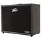 Peavey Electronics VYPYR X2 - 40W guitar amplifier