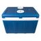 Tourist car fridge 42L BLOW