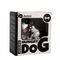 iTotal - Mechanical Money Box - Dog / Baby and Children