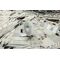 Star Wars Model Kit 1/72 Millennium Falcon 38 cm