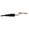 Beyerdynamic DT 770 Pro 80 Ω Black Limited Edition - closed studio headphones